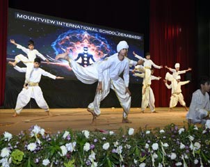 Co-Curricular Activities